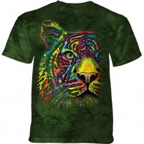 Rainbow Tiger - The Mountain