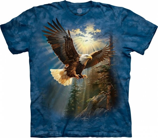 Eagle Landing - The Mountain
