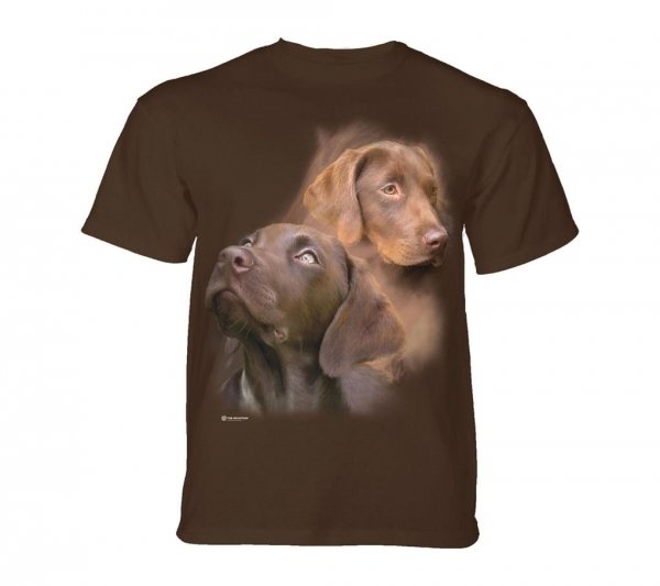 Chocolate Labs - The Mountain - Junior