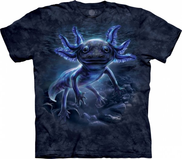 Black Axolotl - The Mountain