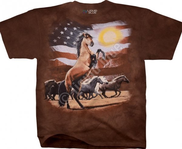 American Stallion - Liquid Blue