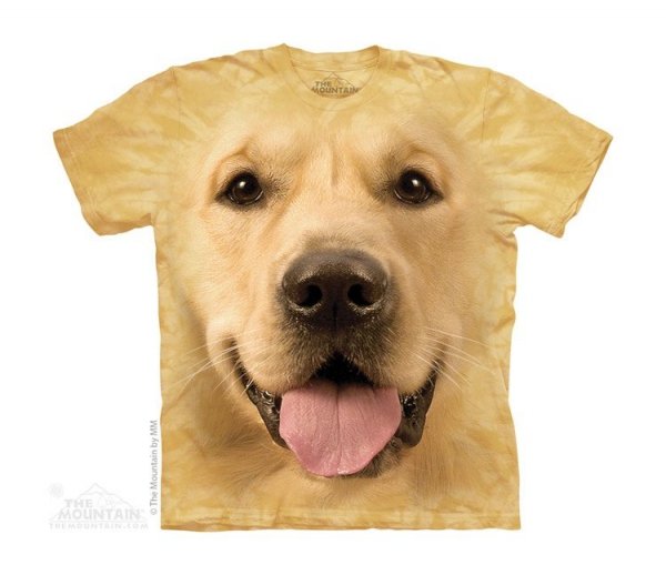 Big Face Golden - The Mountain - Junior