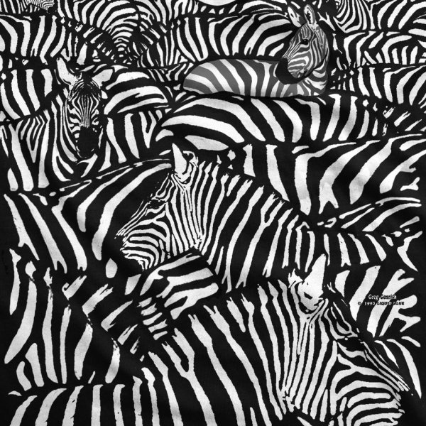 White Zebra - Liquid Blue