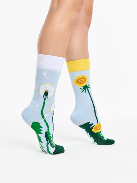Dandelion Spring - Socks Good Mood