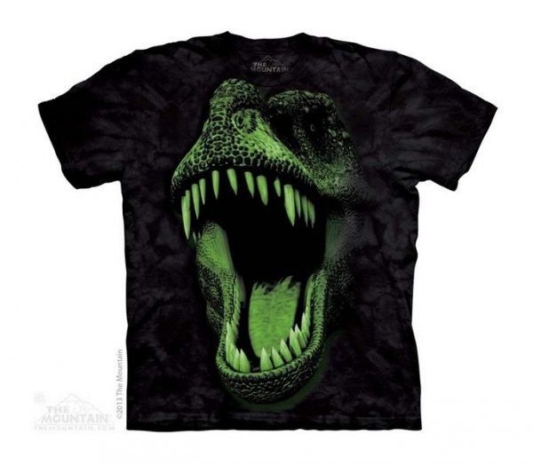 Big Face Glow Rex - The Mountain - Junior
