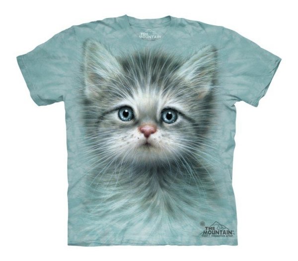 Blue Eyed Kitten - The Mountain - Junior