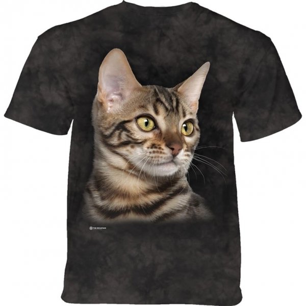 Striped Cat Portrait - The Mountain