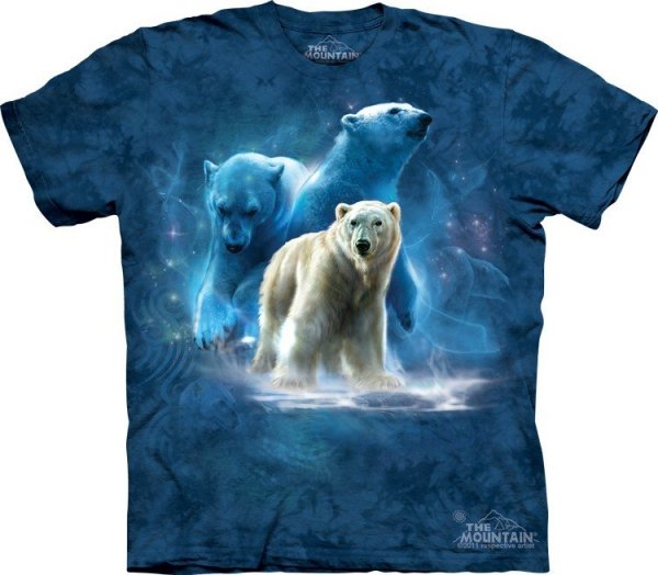 Polar Collage -  The Mountain