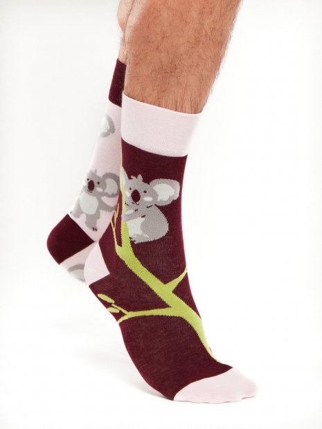 Koala - Socks Good Mood