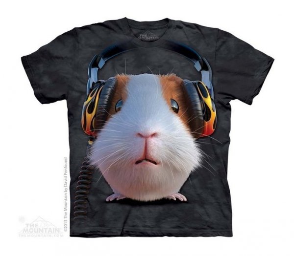 DJ Guinea Pig - The Mountain - Junior