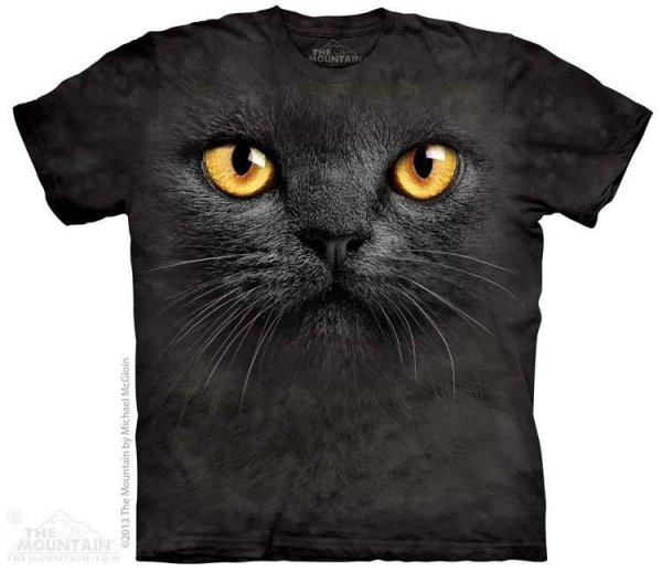 Big Face Black Cat - The Mountain