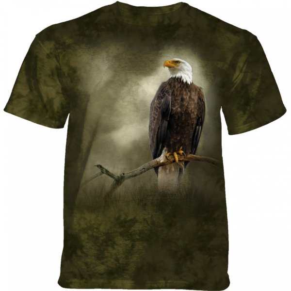 A Visitor to the Meadow Eagle - The Mountain