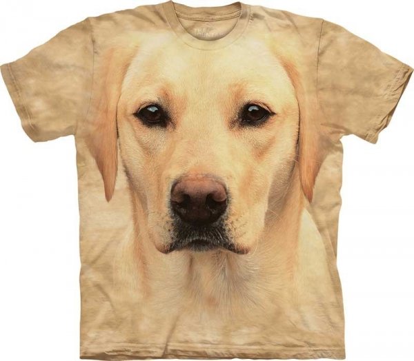 Yellow Lab Portrait - The Mountain
