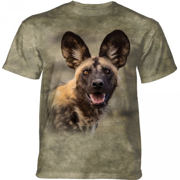African Wild Dog Portrait - The Mountain