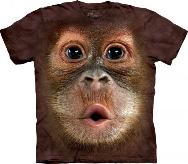 Big Face Baby Orangutan - The Mountain