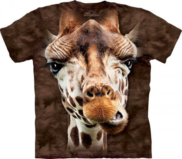 Giraffe - The Mountain