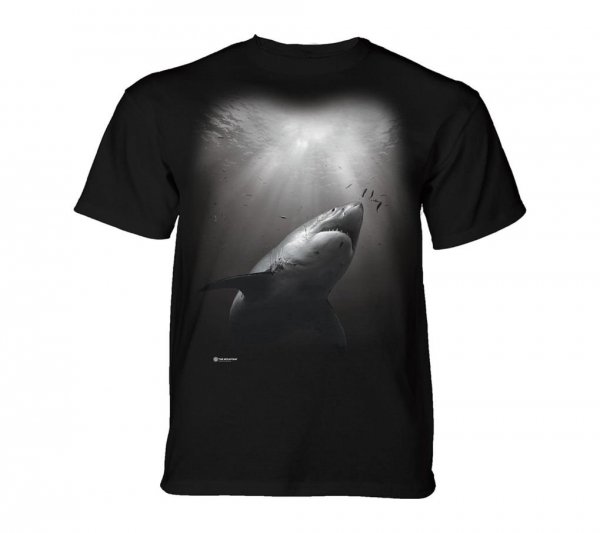 Sunburst Shark - The Mountain Junior