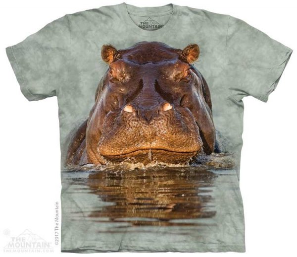 Hippo - The Mountain