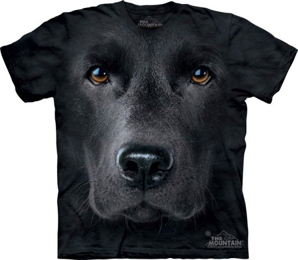 Black Lab Face - The Mountain