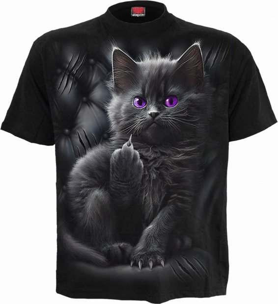 Cattitude   - Spiral Direct