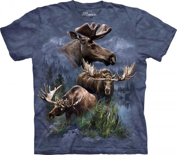 Moose Collage - The Mountain