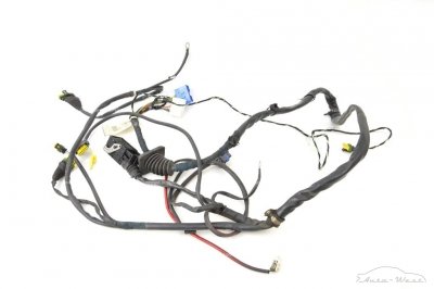 Ferrari 360 Modena Spider F131 F133B Engine wiring loom harness cables left