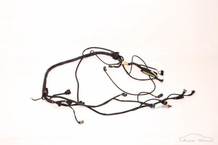 Ferrari 550 Maranello F133A Right wiring loom harness