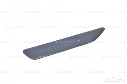 Aston Martin DB9 DBS Virage Side sill member tread trim kickplate pad plate