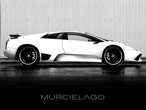 Murcielago