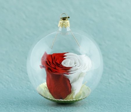 Natürliche haltbare Rose in einer Glaskugel - Weiß und Rot