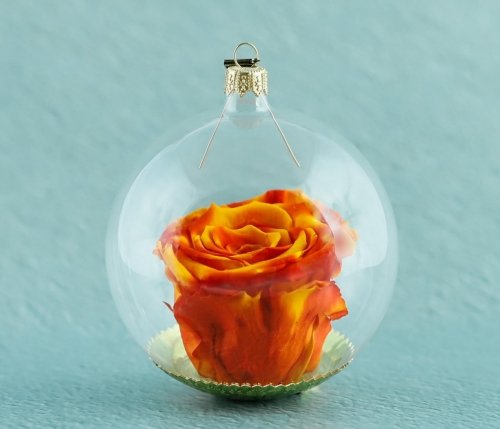 Natürliche haltbare Rose in einer Glaskugel - Teerose