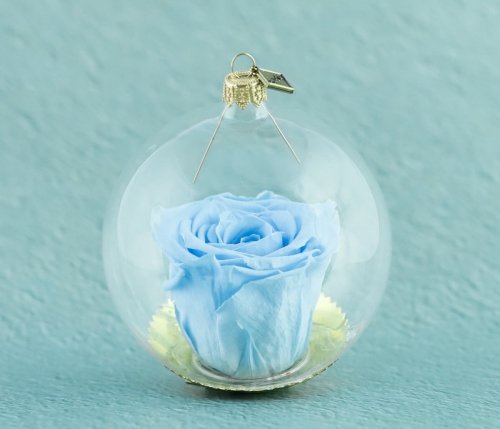 Natural durable rose in a bauble - Blue