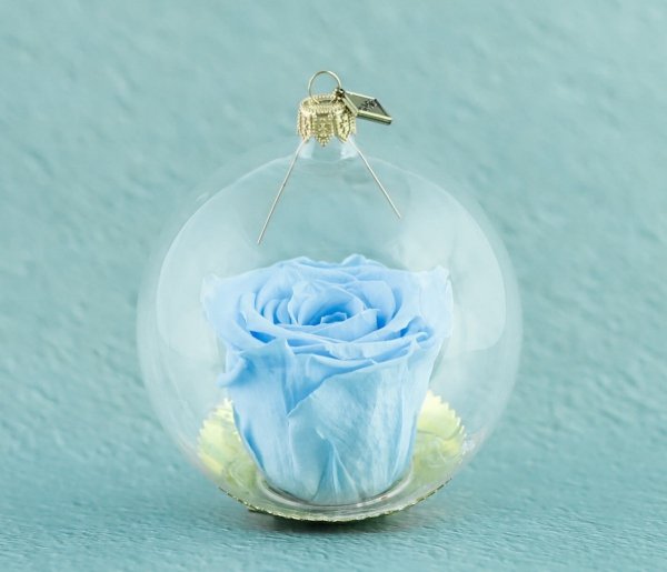 błękitna róża w przezroczystej bombce