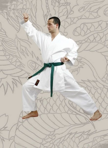 Karatega Chikara od 110 cm 