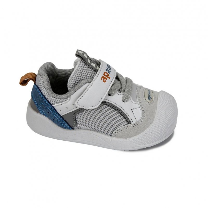 Apawwa ABC2151P GREY - buty sportowe dla chłopca na rzep BAREFOOT