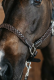 Kantar skórzany WORKING COLLECTION Plaited - DY'ON