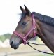 Kantar do jazdy RIDING - BUSSE