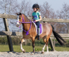 Pad do jazdy na oklep z uchwytem - QHP 