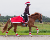 Czapka/nakładka świąteczna na kask - QHP