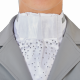 Plastron ELMIRA - Busse