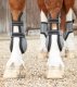 Ochraniacze Kevlar Airtechnology przody - PREMIER EQUINE - grey