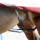 Derka padokowa 150g POWER TURNOUT MEDIUM - Bucas - silver
