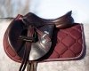 Potnik wszechstronny PHEONIX AW 22/23 - QHP