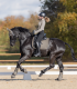 Kaloszki z futerkiem PEGASUS - Waldhausen