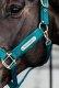 Kantar Velvet - Kentucky - emerald
