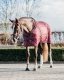 Derka stajenna 200g AW 22/23 - QHP - saddlery