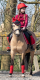 Nakładka na kask DEVIL - QHP