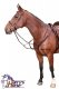 Napierśnik z wytokiem - HARRY'S HORSE