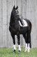 Ochraniacze tył PRO DRESSAGE HIND Platinum 2024 - Eskadron - white 