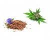 Olej lniano - konopny 5L - EQUIHERBS